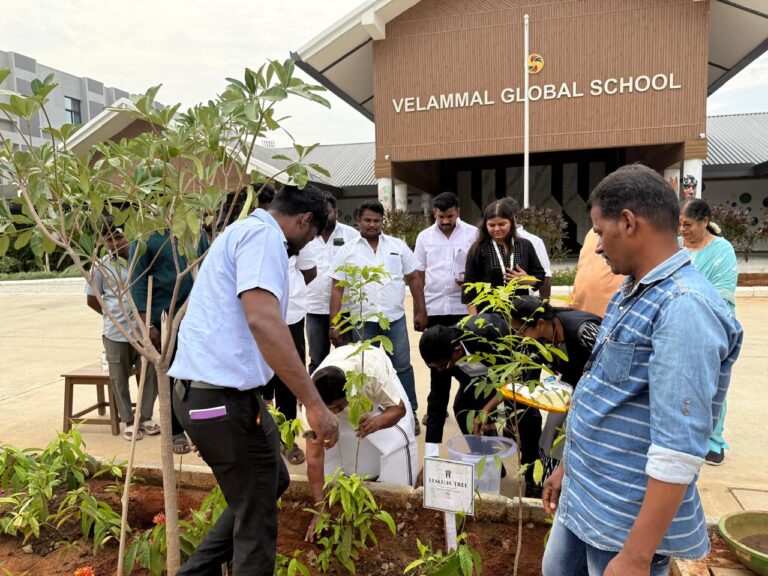 WhatsApp Image 2025-11-08 at 12.09